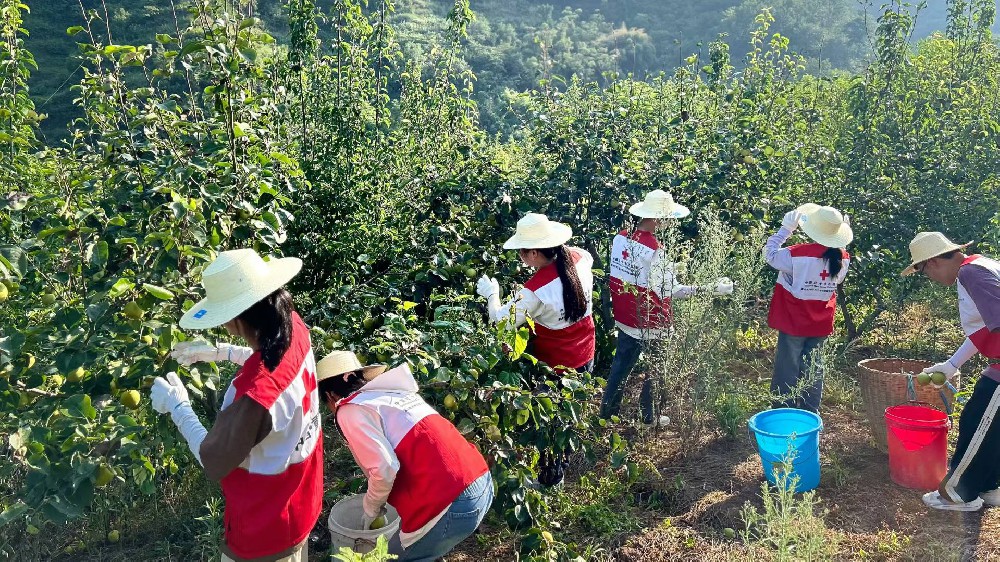 爱心汇聚助农解困  信用联动共筑温情